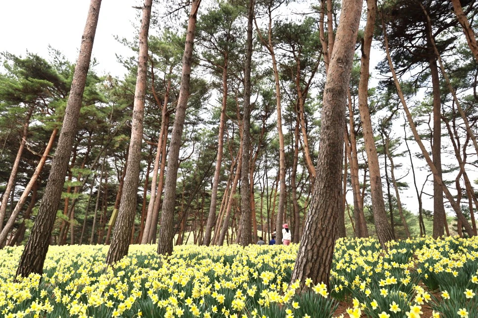 4%EC%9B%945%EC%9D%BC_(42).JPG?type=w966