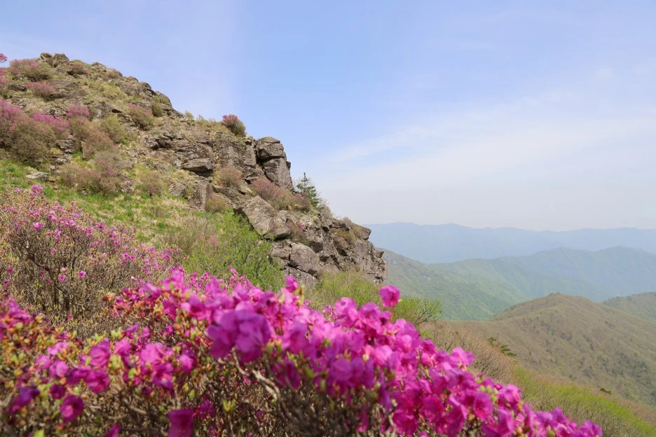 4%EC%9B%9428%EC%9D%BC_(91).JPG?type=w1