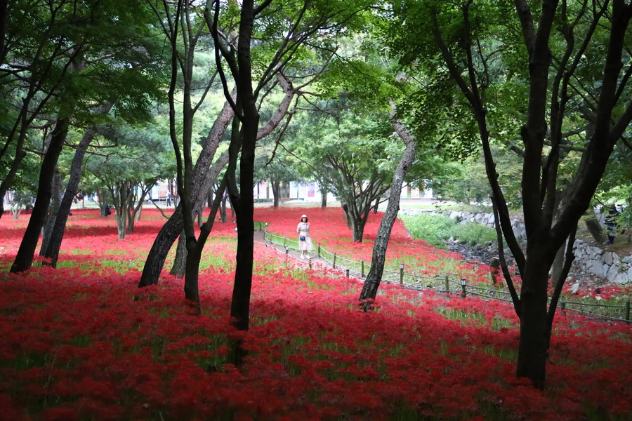 SE-07972898-8c8a-4e78-befe-d0e7f68a6377.jpg?type=w1