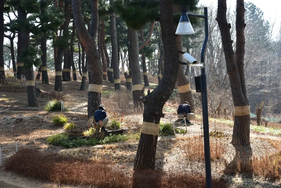 3%EC%9B%9411%EC%9D%BC_(34).JPG?type=w1