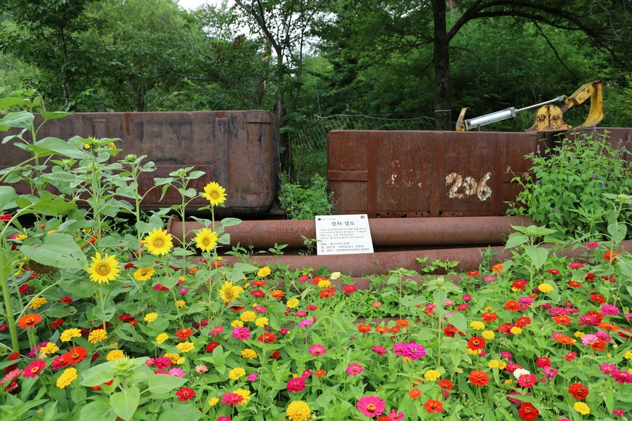 SE-e2988e6a-da5b-4f46-a919-51e0a6ec6322.jpg?type=w1