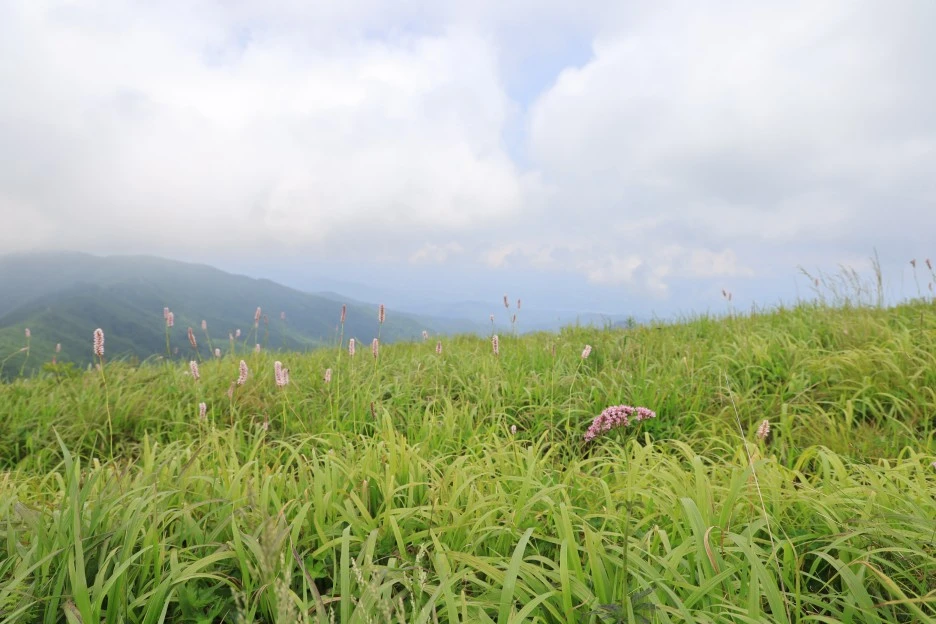 6%EC%9B%9428%EC%9D%BC_(265).JPG?type=w1