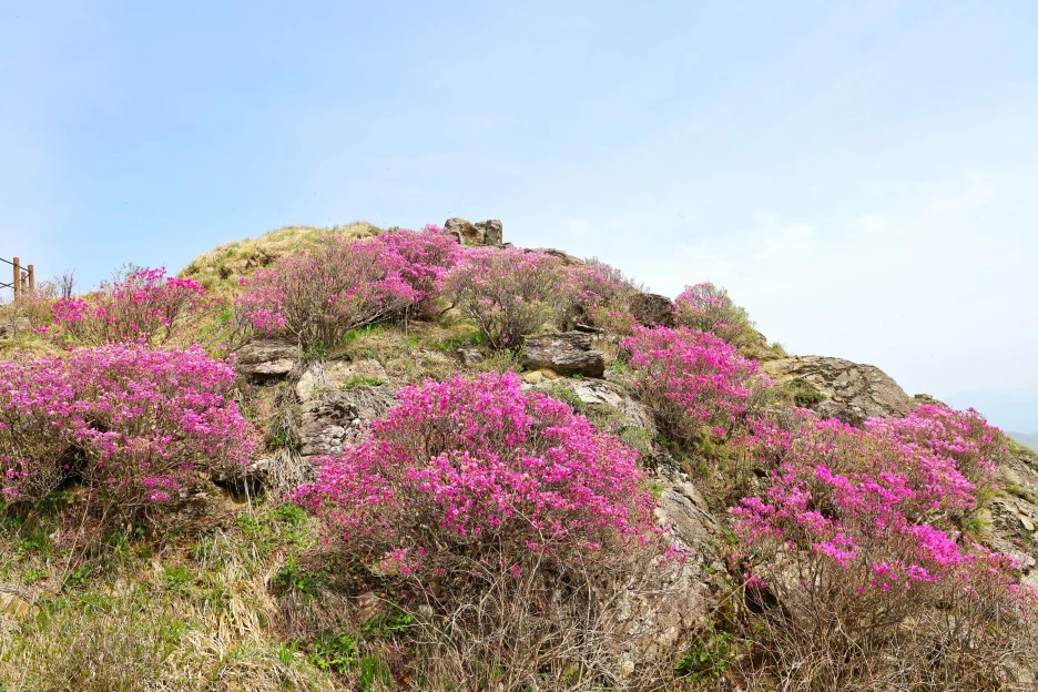 4%EC%9B%9428%EC%9D%BC_(110).JPG?type=w1