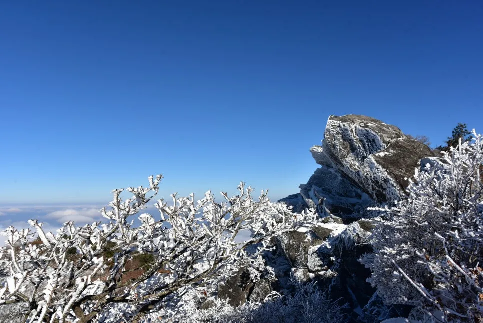 11%EC%9B%9426%EC%9D%BC_(129).JPG?type=w966