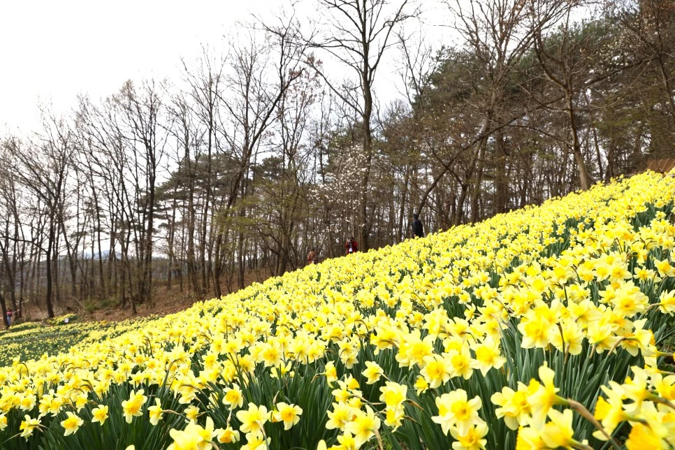 4%EC%9B%945%EC%9D%BC_(77).JPG?type=w966