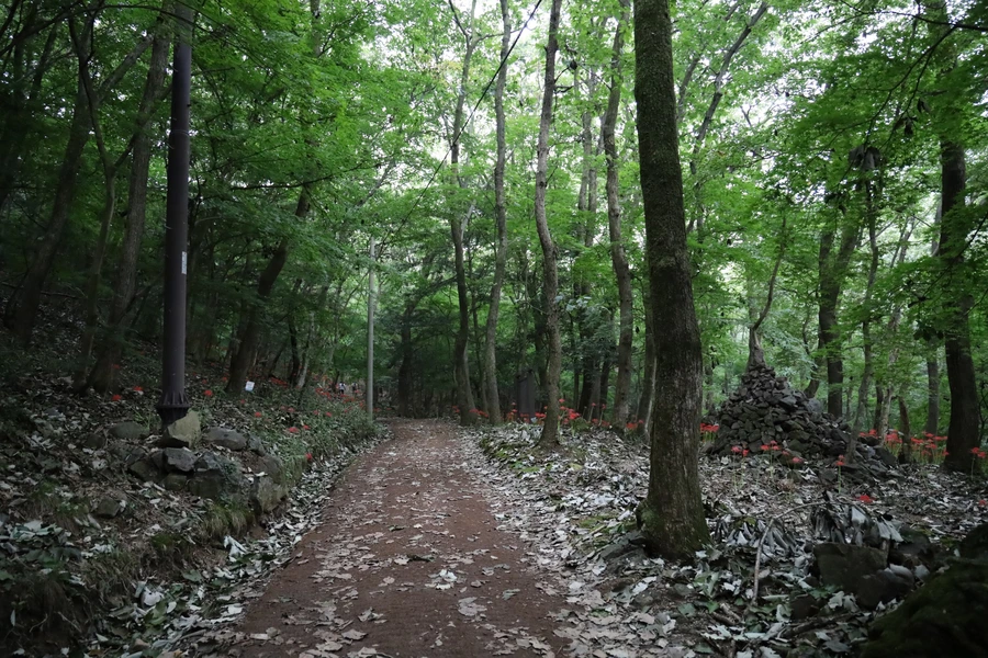 SE-92d7a774-2186-484c-9410-29e0cf9650d4.jpg?type=w1