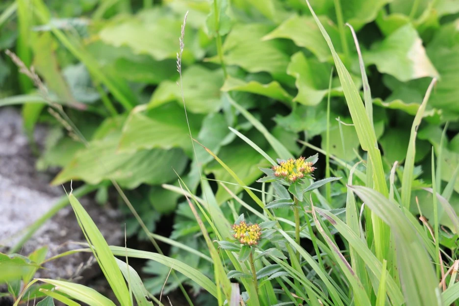 6%EC%9B%9428%EC%9D%BC_(311).JPG?type=w1