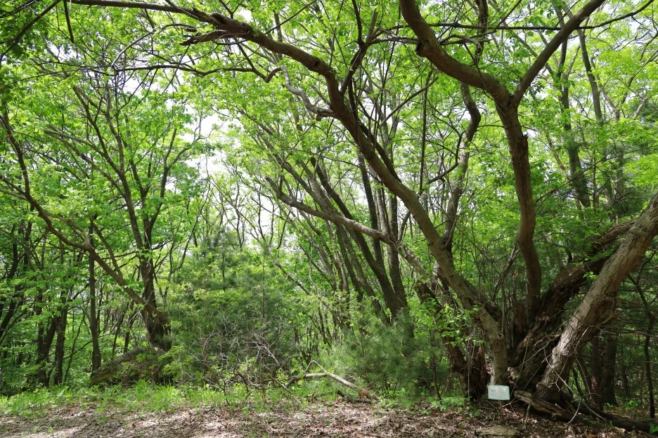 5%EC%9B%9410%EC%9D%BC_(90).JPG?type=w1