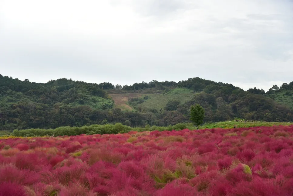 10%EC%9B%9414%EC%9D%BC_(24).JPG?type=w966