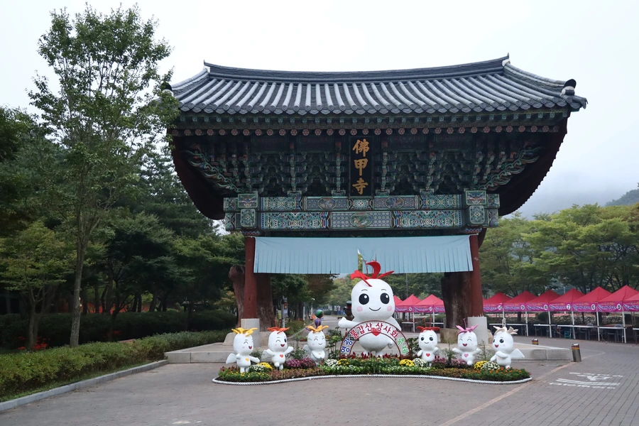 SE-955a26c6-4af4-433e-b9f1-71ec10eda357.jpg?type=w1