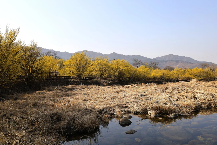 SE-d941c4d8-80f2-4c72-9326-7c310128e88b.jpg?type=w1