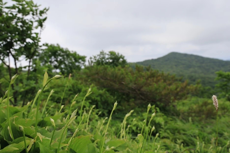 6%EC%9B%9428%EC%9D%BC_(182).JPG?type=w1