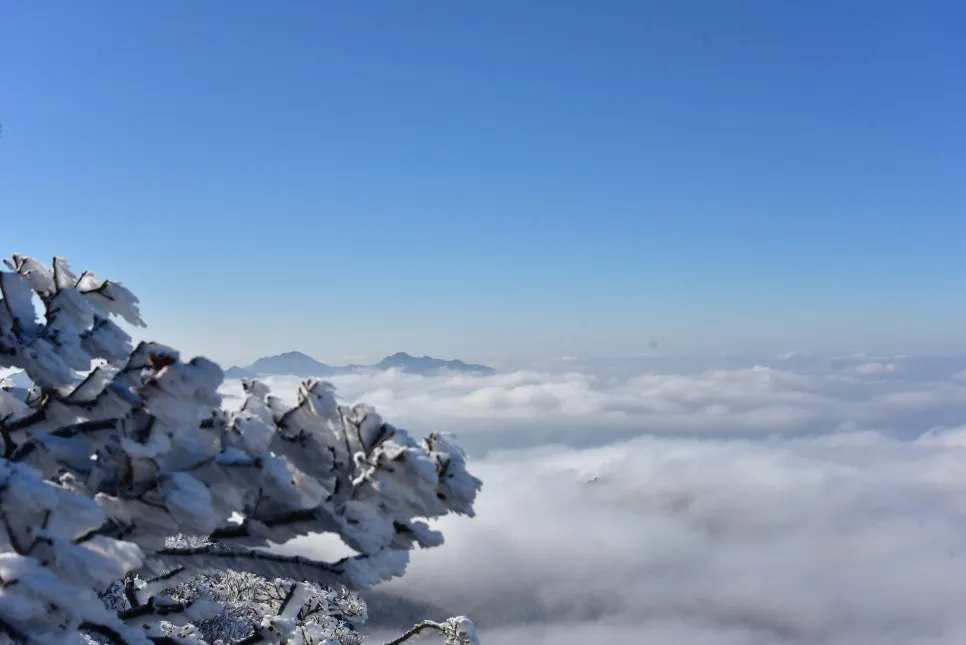 11%EC%9B%9426%EC%9D%BC_(127).JPG?type=w966