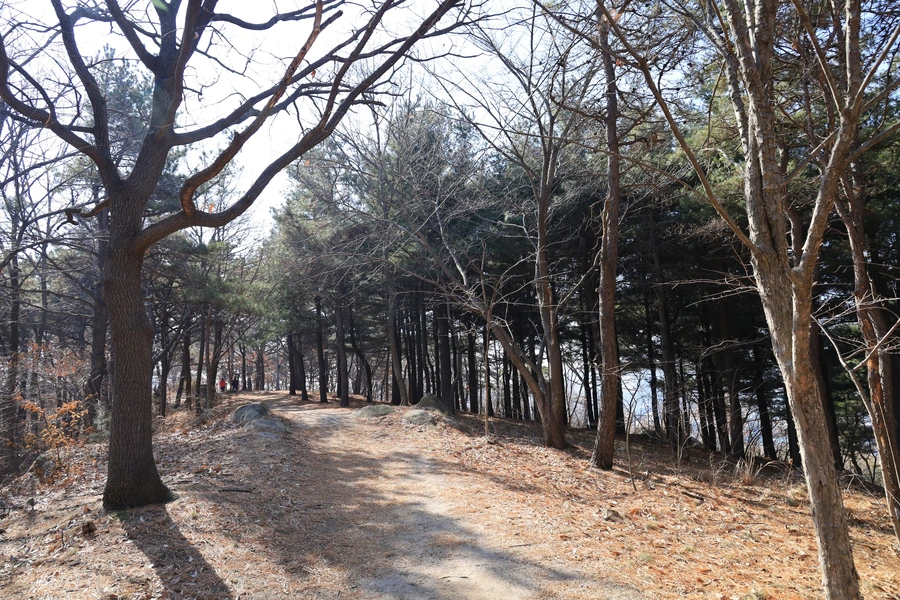 SE-72d9f6b7-aca0-43db-bf43-5f9c2c70715f.jpg?type=w1