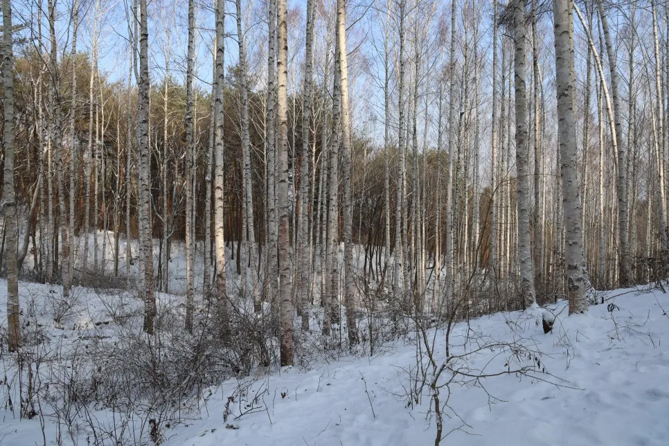 12%EC%9B%9426%EC%9D%BC_(23).JPG?type=w966