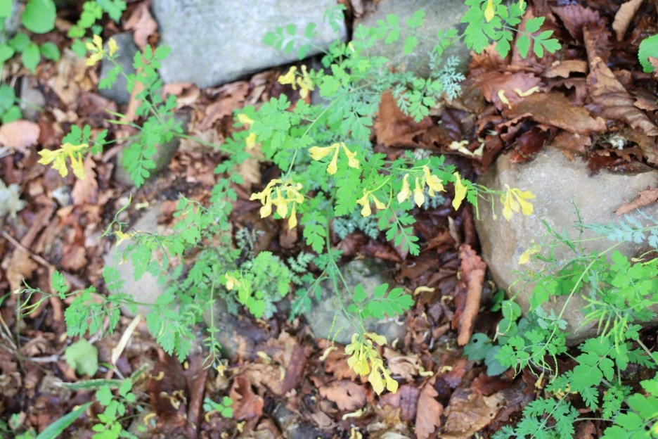 6%EC%9B%9414%EC%9D%BC_(123).JPG?type=w1