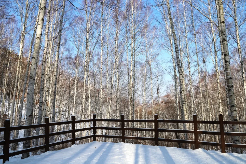 12%EC%9B%9426%EC%9D%BC_(97).JPG?type=w966