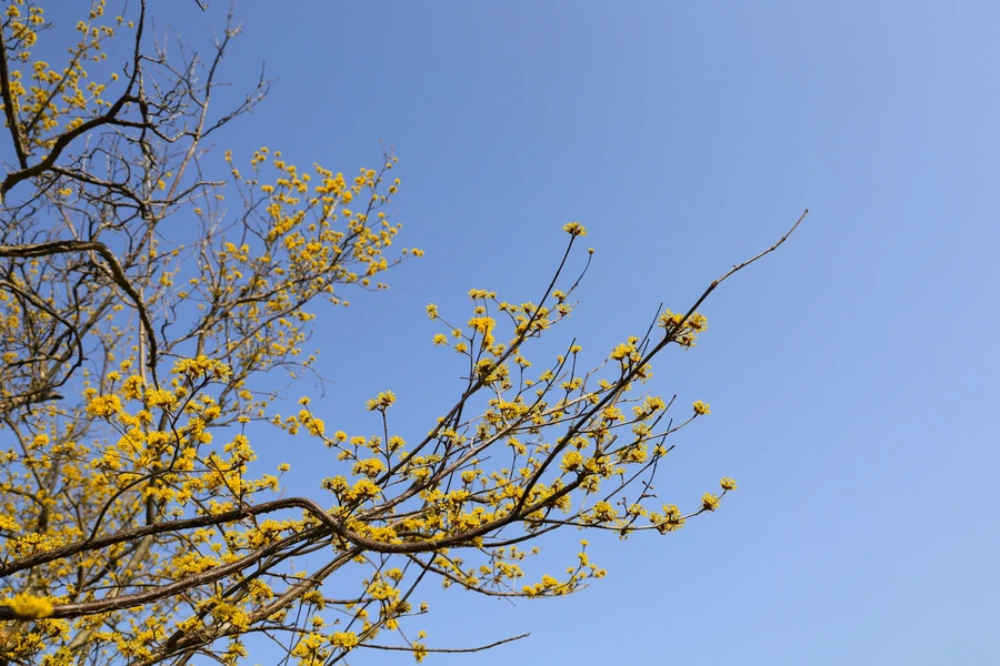 SE-06233a4c-ceda-41fc-91ab-a1641286d635.jpg?type=w1