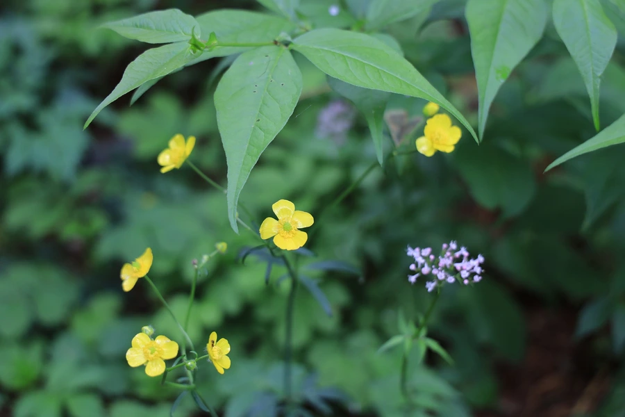 SE-7f01b89d-5346-4b2a-854b-1314acea4d59.jpg?type=w1