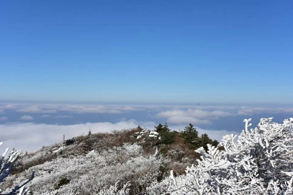 11%EC%9B%9426%EC%9D%BC_(125).JPG?type=w966