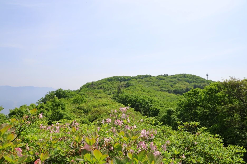 5%EC%9B%9410%EC%9D%BC_(53).JPG?type=w1