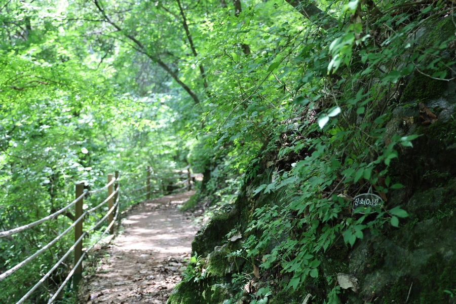 SE-63de67d1-9fee-4aa9-9dbb-0d4446abea5b.jpg?type=w1