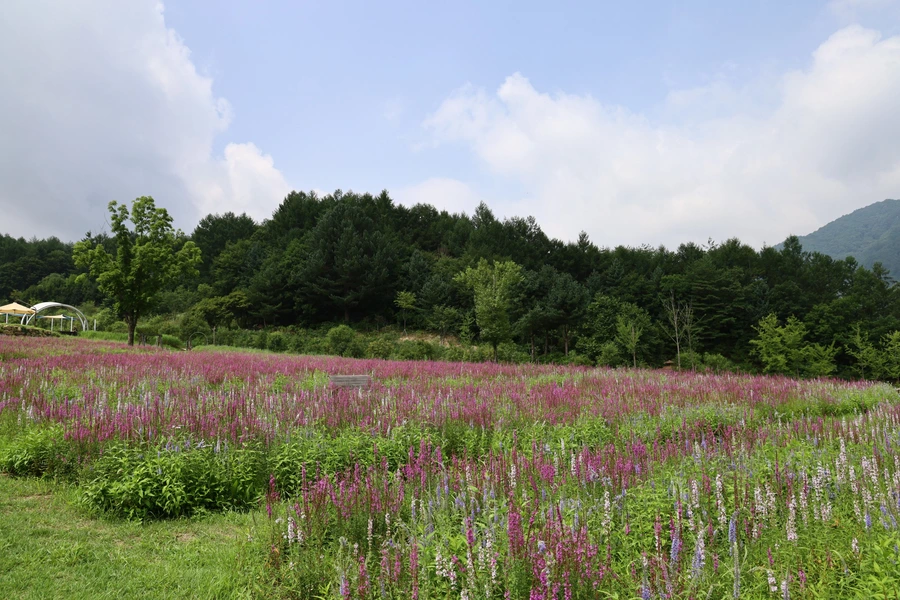 SE-81d830b0-0426-44f6-acd4-6ee9631c0a25.jpg?type=w1