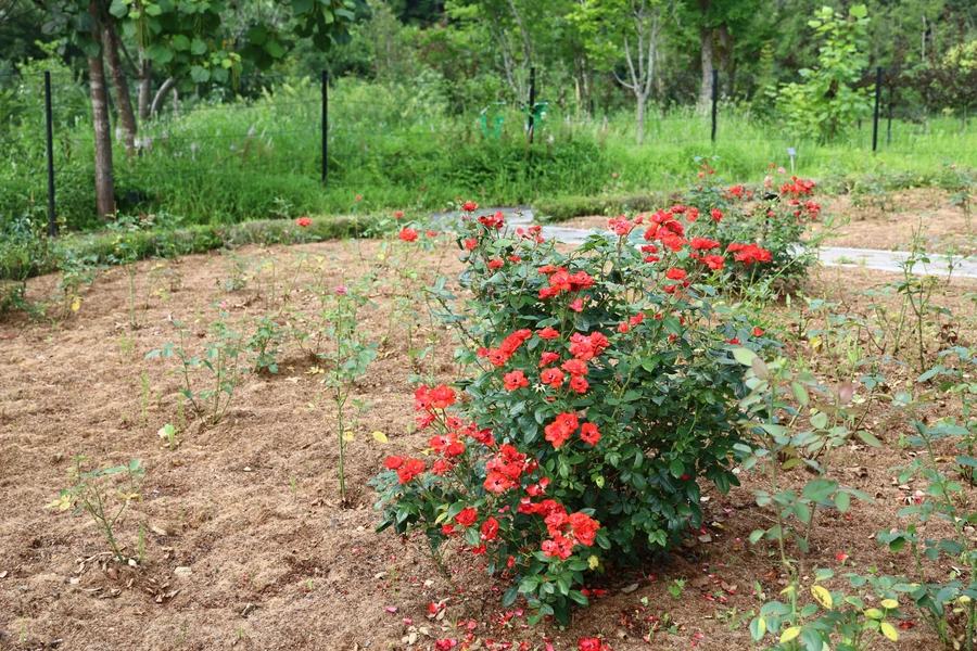 SE-3f1292ad-a03d-47df-ac39-e99d35a85d0b.jpg?type=w1