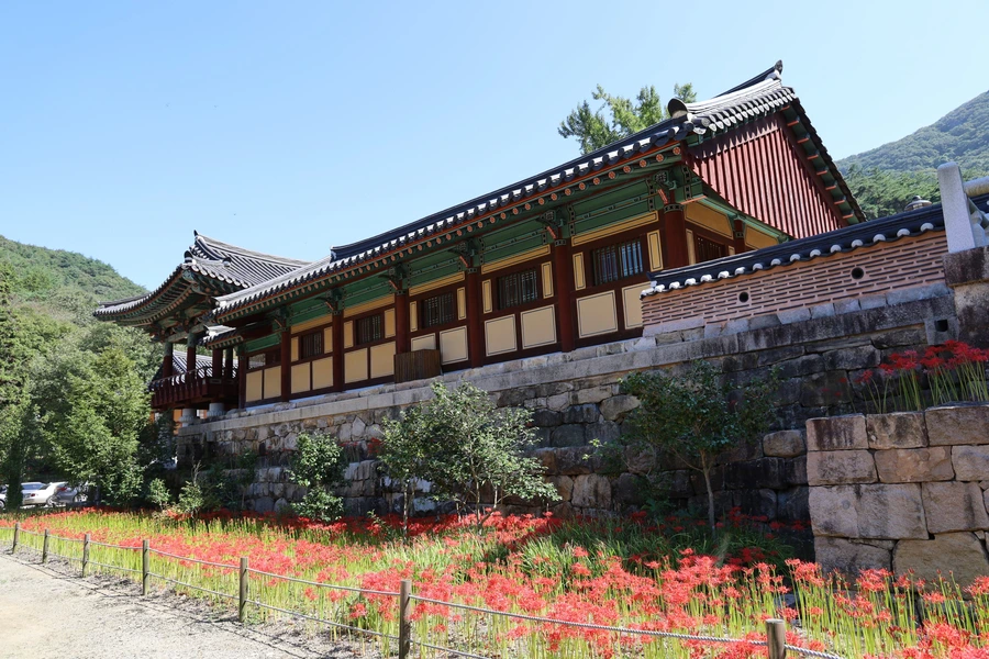 SE-fdd917aa-242c-44d1-8636-4452f1ee8602.jpg?type=w1