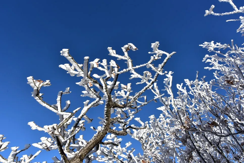 11%EC%9B%9426%EC%9D%BC_(84).JPG?type=w966