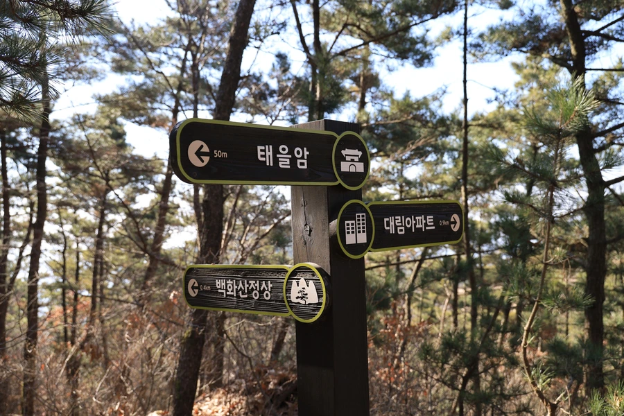 SE-8bf82c85-613f-4915-bf59-702bbf3f58f7.jpg?type=w1