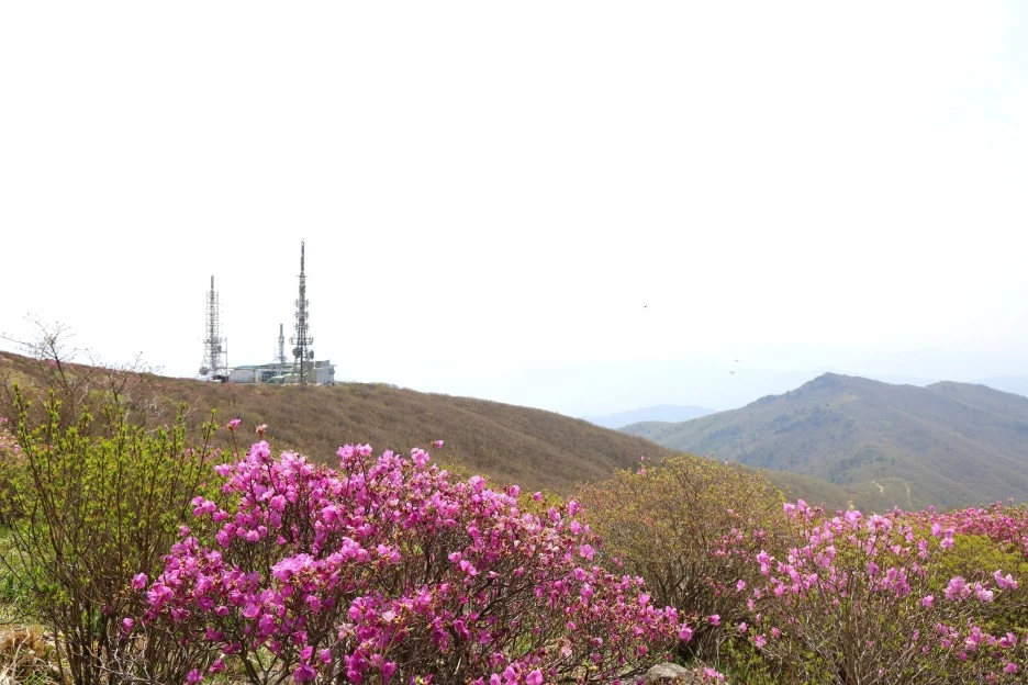 4%EC%9B%9428%EC%9D%BC_(58).JPG?type=w1