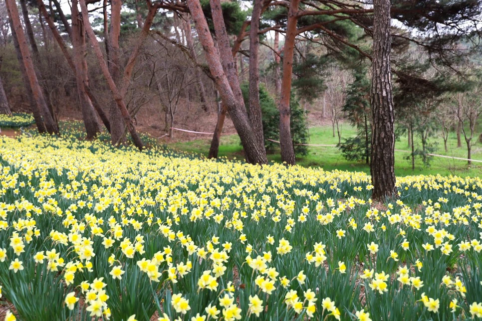 4%EC%9B%945%EC%9D%BC_(27).JPG?type=w966