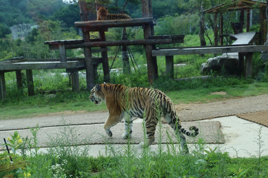 SE-3c4e37fb-ed6c-407c-9c24-7dee33c2328a.jpg?type=w1