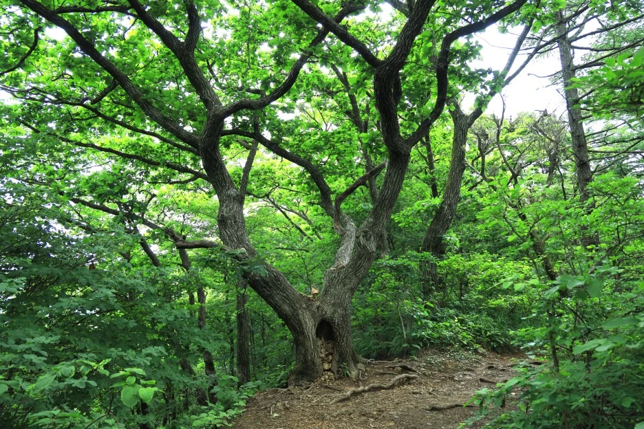 6%EC%9B%9428%EC%9D%BC_(114).JPG?type=w1