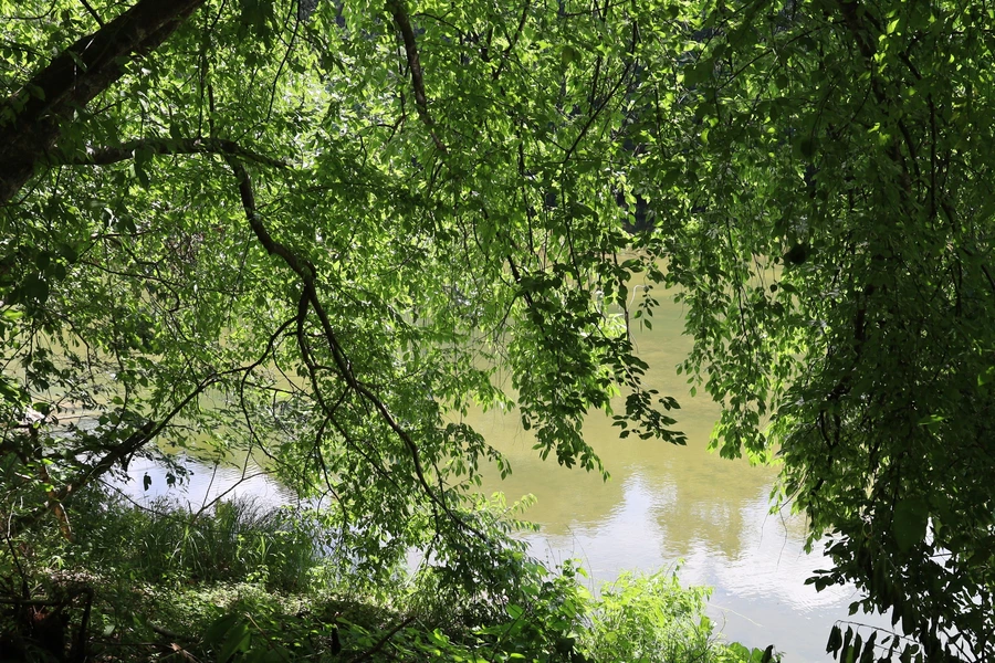 SE-d4c8b03b-24dc-4b92-acd9-b22bea4aef6f.jpg?type=w1