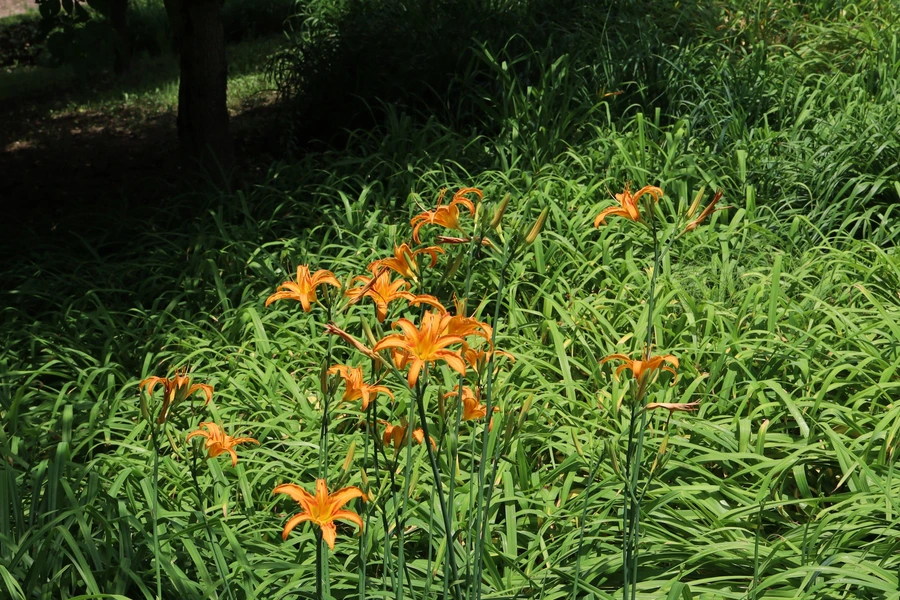 SE-73515a22-9656-437d-868d-e9e1b9b458b4.jpg?type=w1