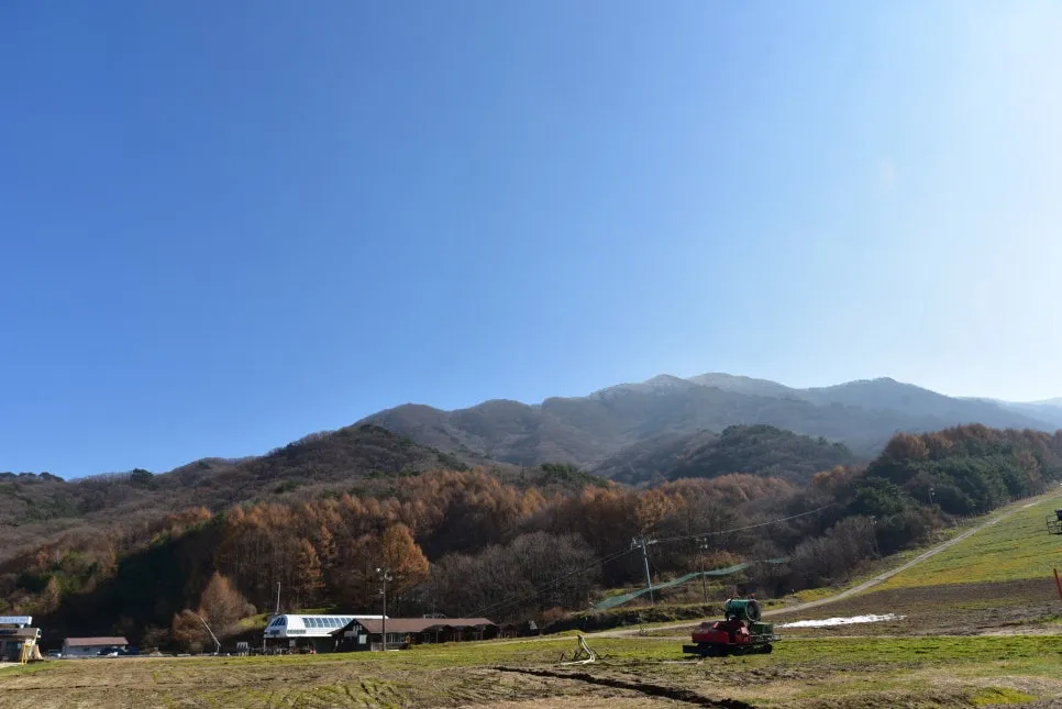 11%EC%9B%9426%EC%9D%BC_(210).JPG?type=w966