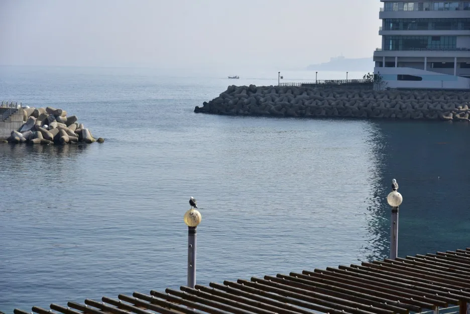 3%EC%9B%9411%EC%9D%BC_(39).JPG?type=w1