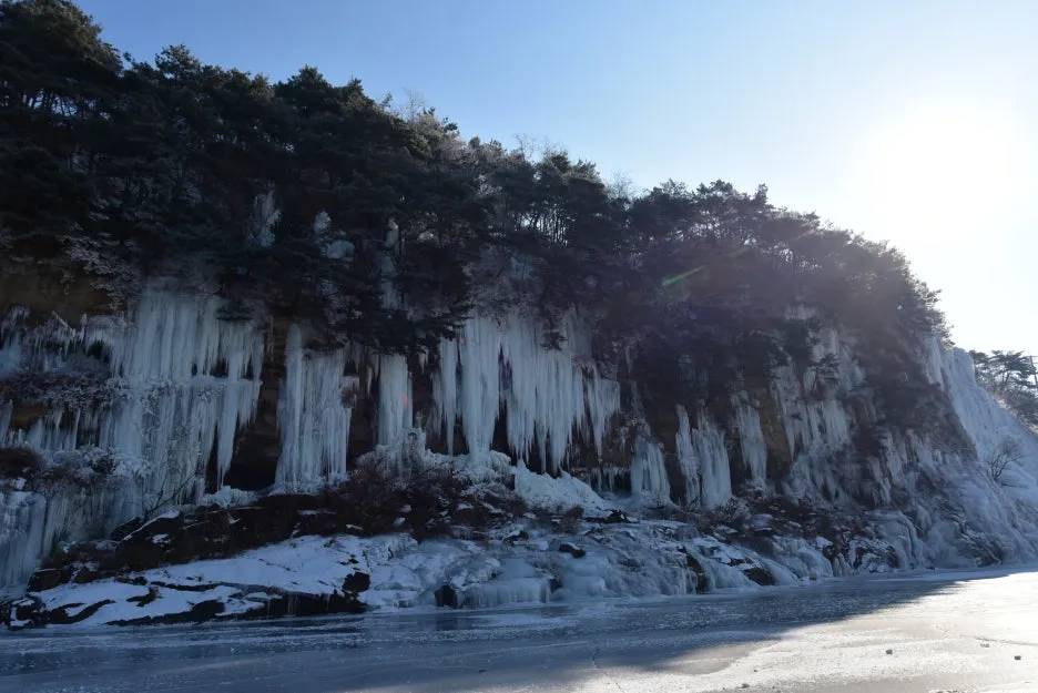 1%EC%9B%9412%EC%9D%BC_(88).JPG?type=w1