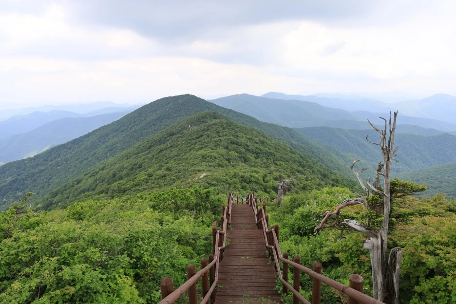 6%EC%9B%9414%EC%9D%BC_(239).JPG?type=w1