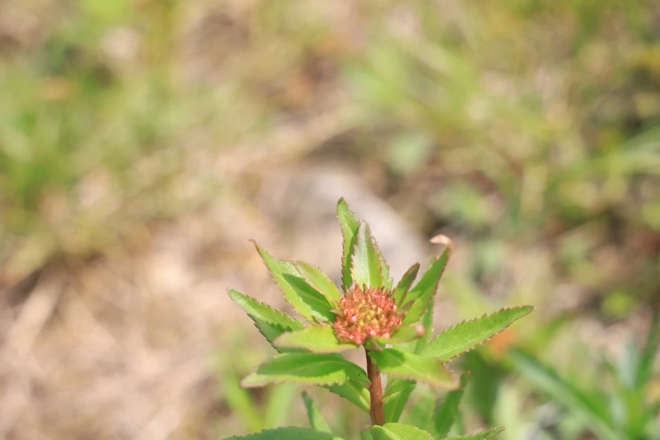 6%EC%9B%9414%EC%9D%BC_(193).JPG?type=w1