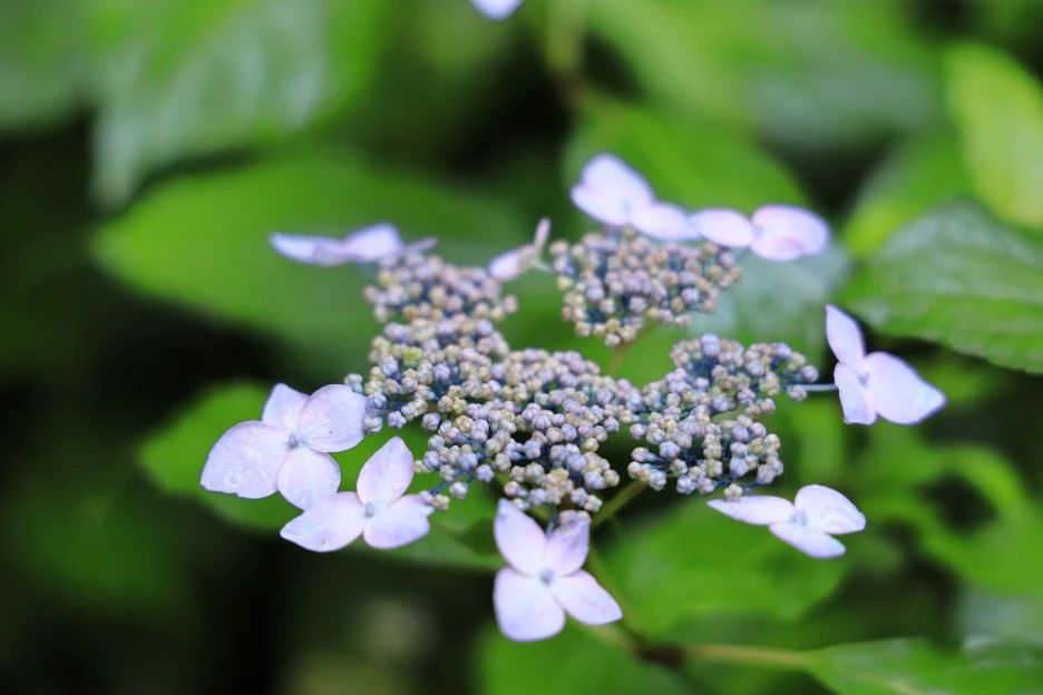 6%EC%9B%9428%EC%9D%BC_(17).JPG?type=w1