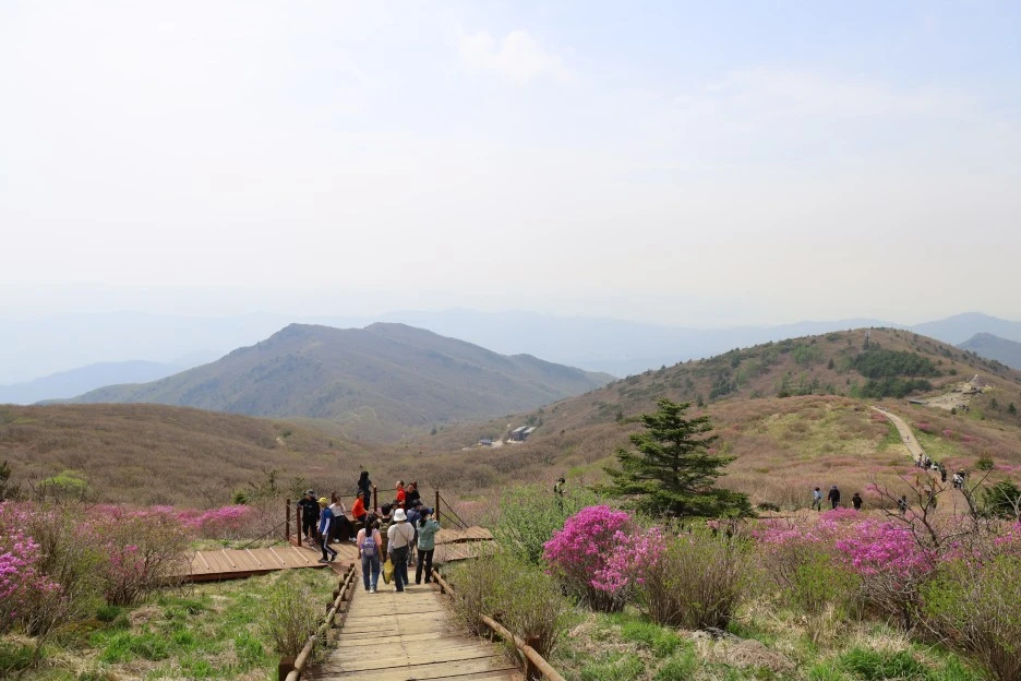 4%EC%9B%9428%EC%9D%BC_(137).JPG?type=w1