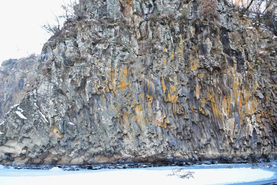 1%EC%9B%9412%EC%9D%BC_(41).JPG?type=w1