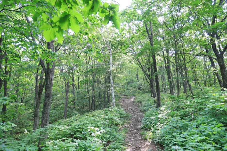 6%EC%9B%9414%EC%9D%BC_(15).JPG?type=w1