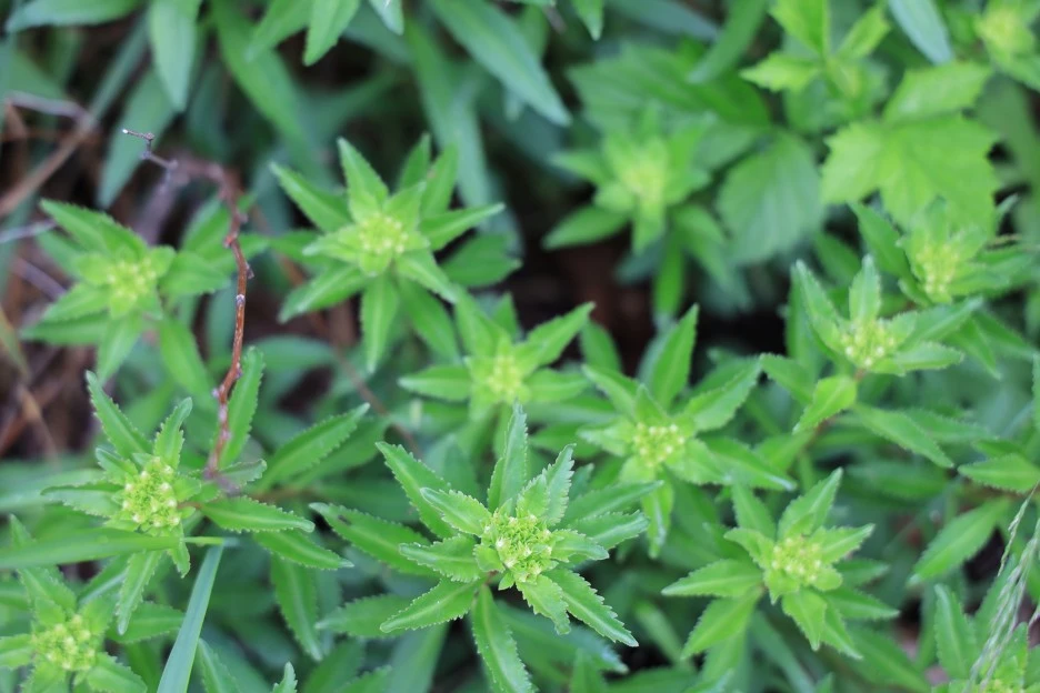 6%EC%9B%9414%EC%9D%BC_(314).JPG?type=w1