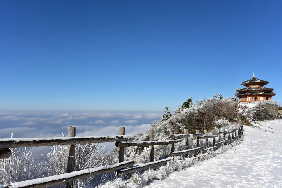 11%EC%9B%9426%EC%9D%BC_(53).JPG?type=w966