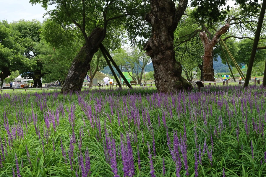 SE-4d664caa-d2c5-49ca-92cd-2039d7a97425.jpg?type=w1