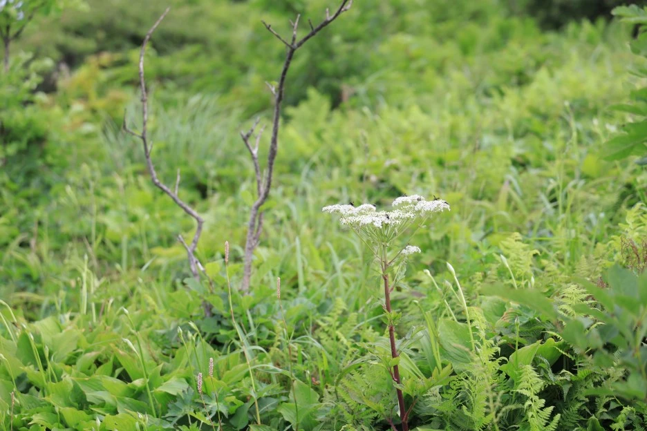 6%EC%9B%9428%EC%9D%BC_(335).JPG?type=w1